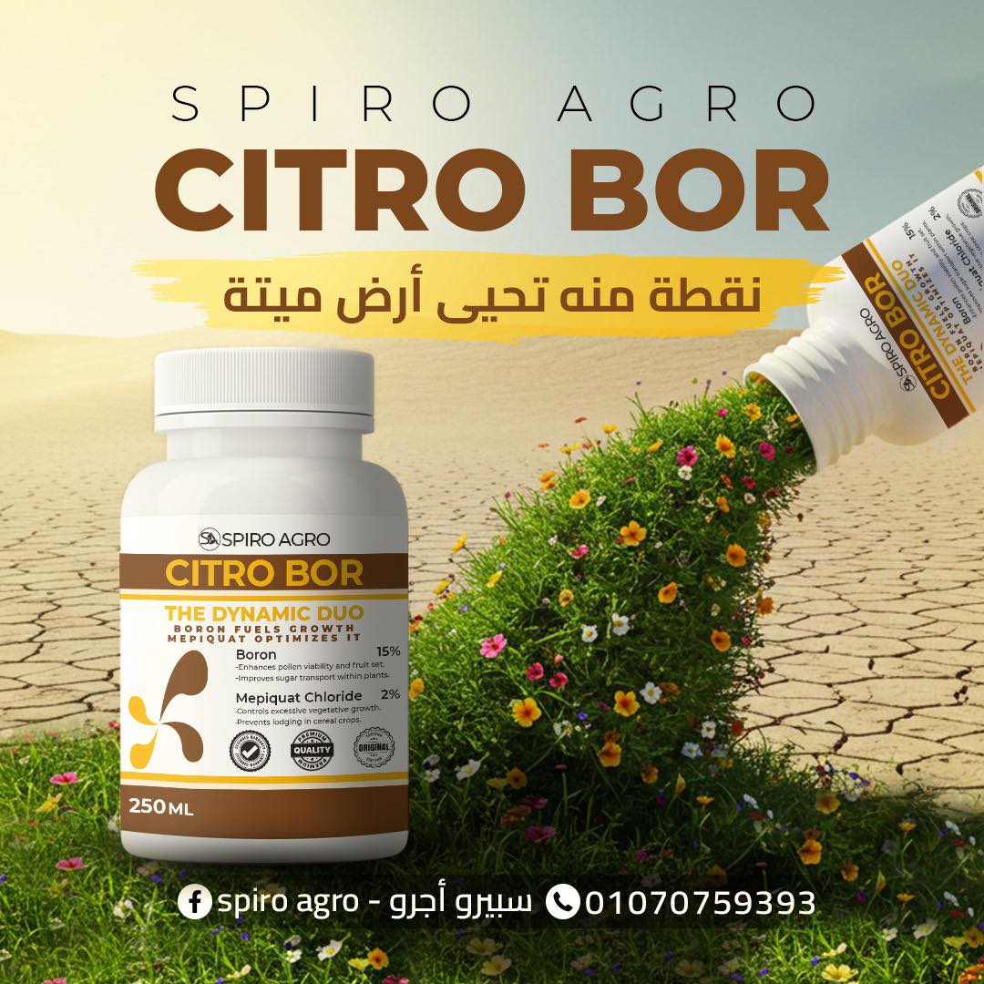سيترو بور