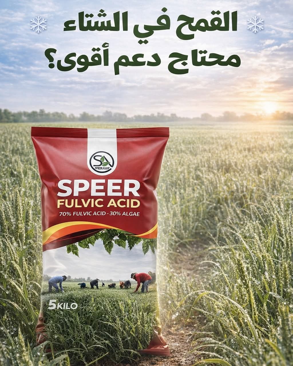 سبير فولفيك أسيد