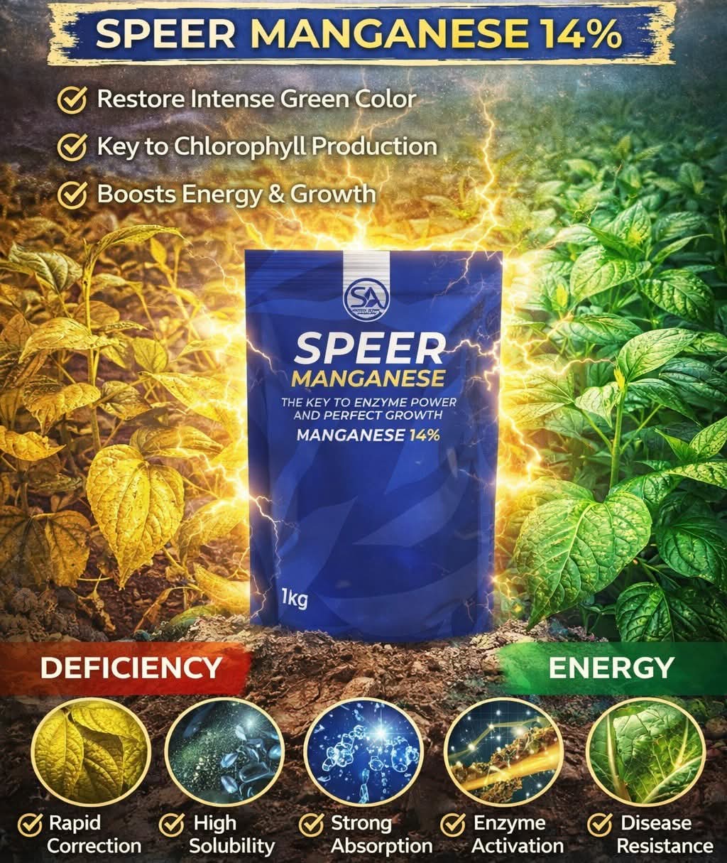 سبير منجنيز