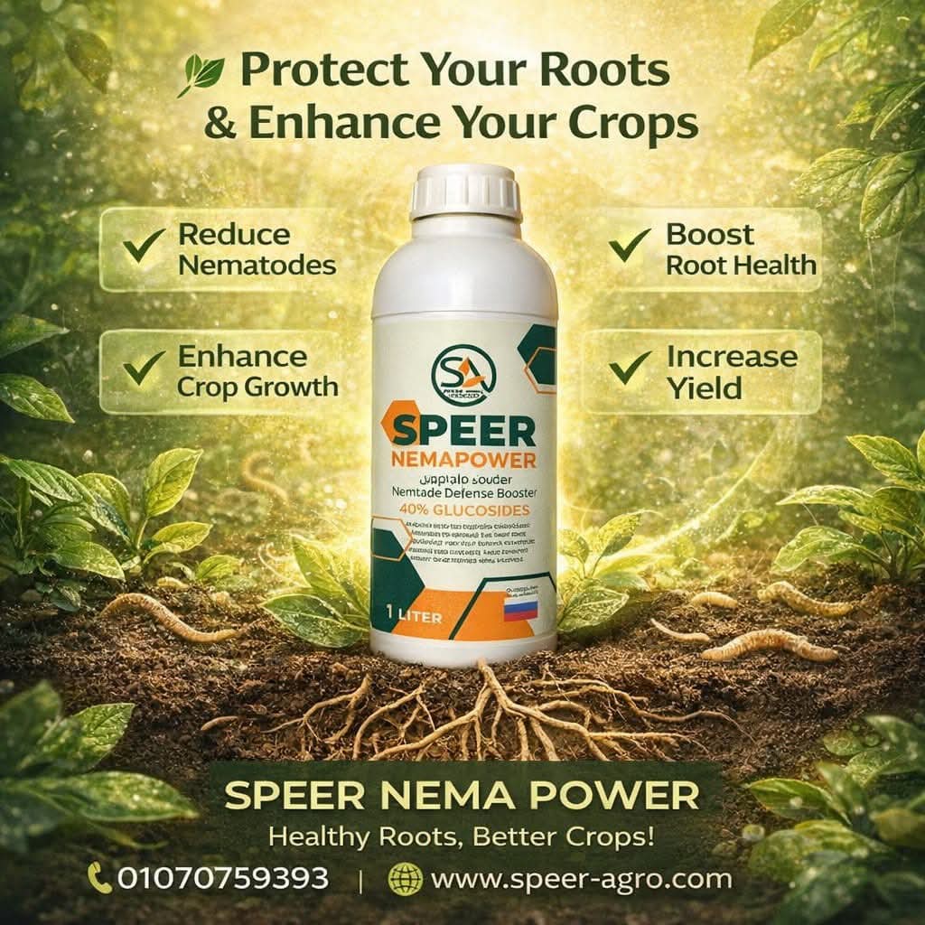 سبير نيما باور